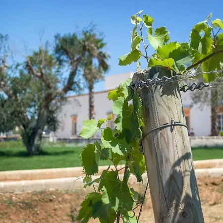 Tenuta Mose